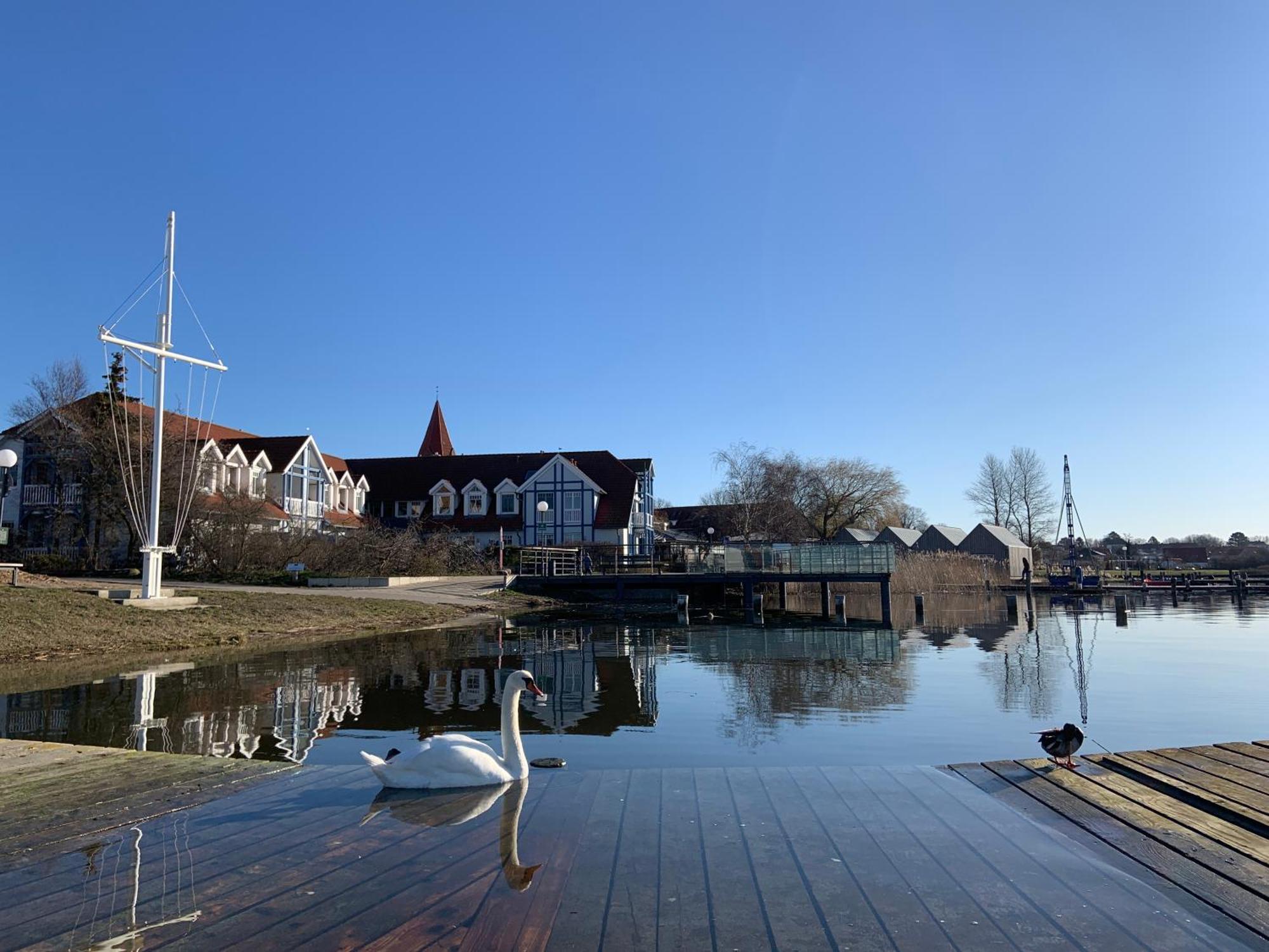 Fewo 27 Strandnahe Ferienwohnung Marlyn Rerik Exterior photo